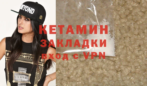 индика Гусев