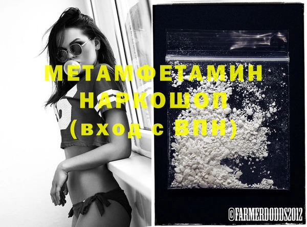 индика Гусев