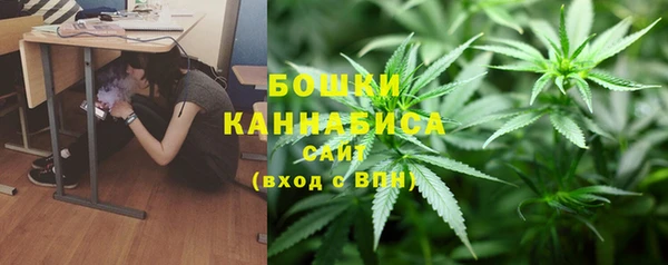 индика Гусев
