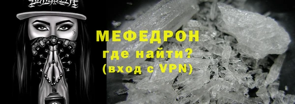 индика Гусев