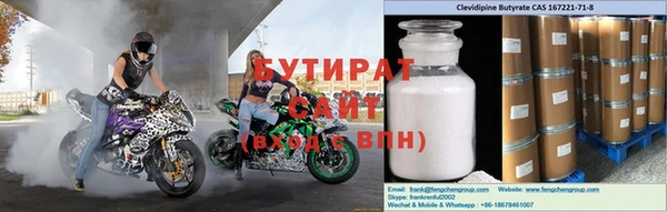 индика Гусев