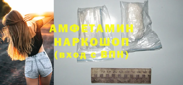 индика Гусев