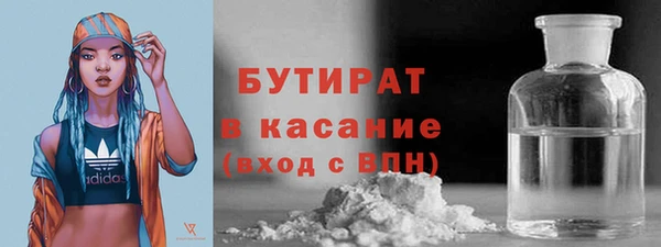 индика Гусев