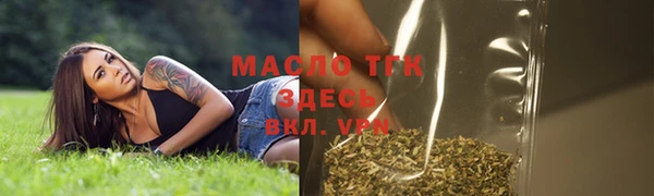 индика Гусев