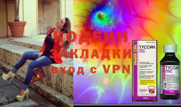 индика Гусев