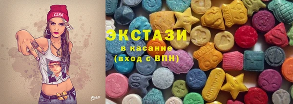 индика Гусев