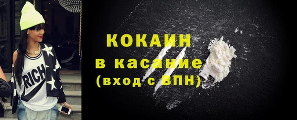 индика Гусев